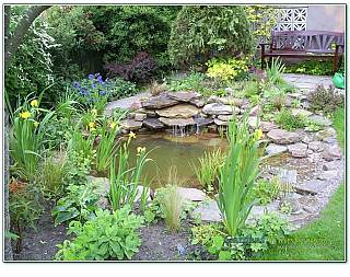 project14/14-19.jpg