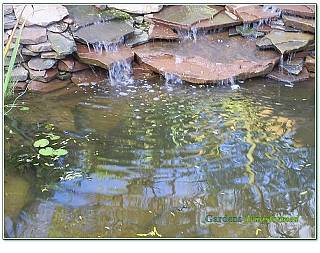 project35/35-09.jpg