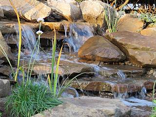 121/3_1549130790.jpg