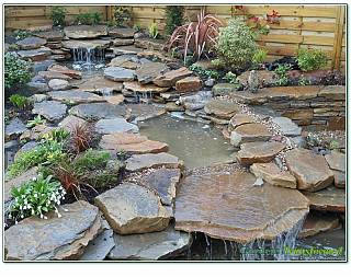 72/72-9 a small but beautifully detailed stream with rock plants.jpg
