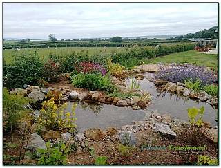 157/garden-design-xxxx_30_1676122078.jpg